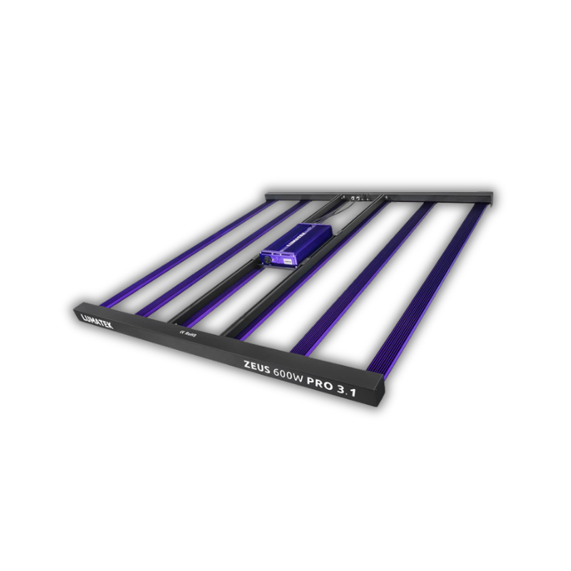 Lumatek Zeus 600W Pro 3.1 LED
