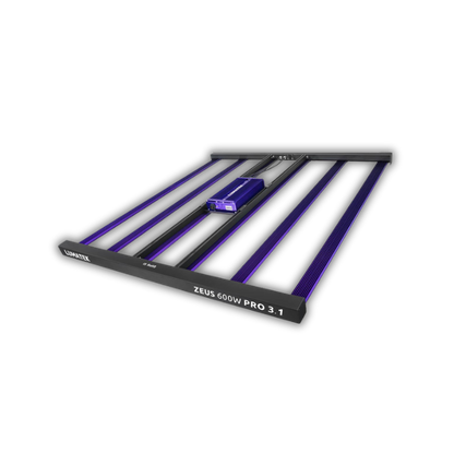 Lumatek Zeus 600W Pro 3.1 LED