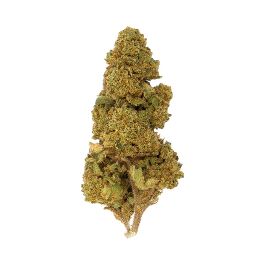 Flor Canna Tonic