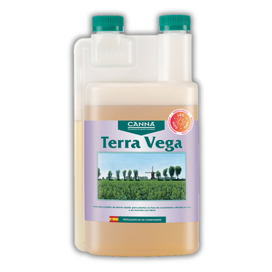 Terra Vega (Canna)