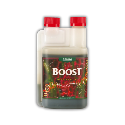 Boost Accelerator (Canna)