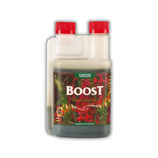 Boost Accelerator (Canna)