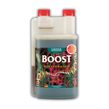 Boost Accelerator (Canna)