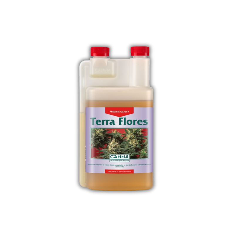Terra Flores