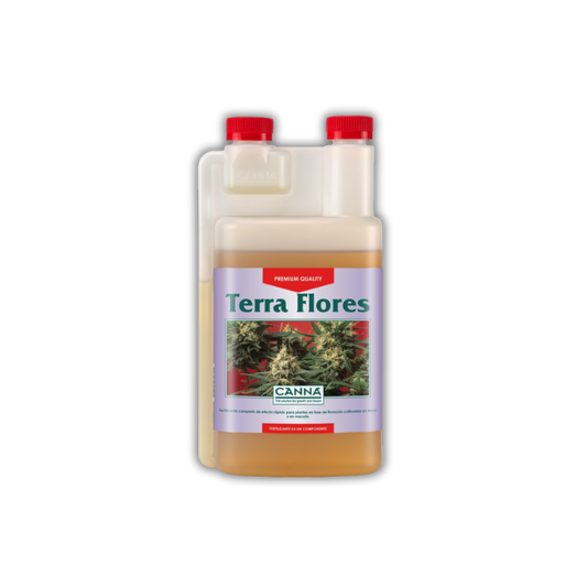 Terra Flores