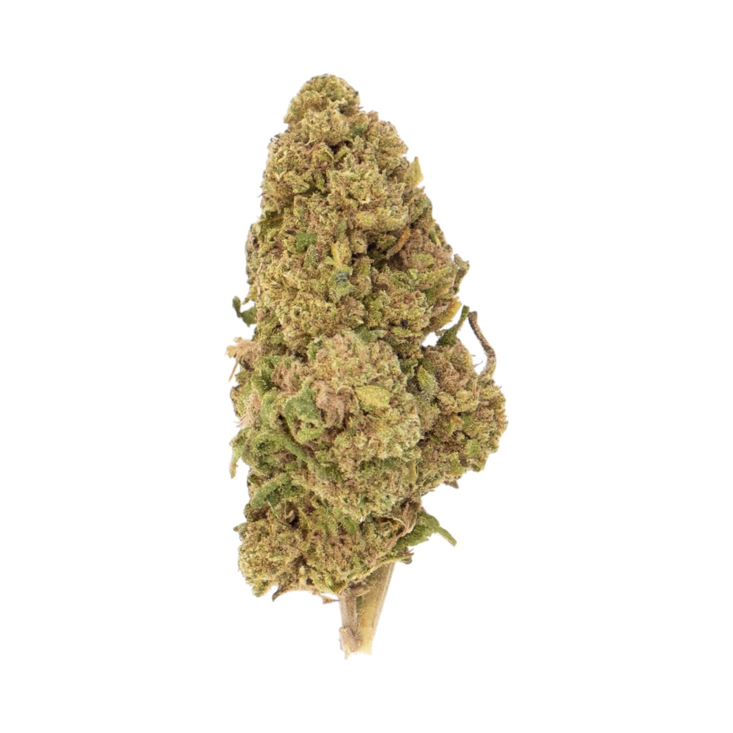 Flor Candy Kush